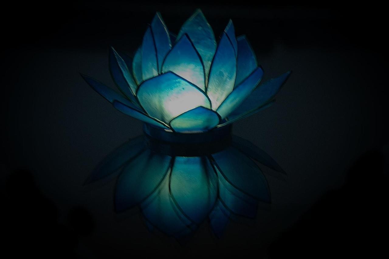 Blue Lotus Apartment Wien Exteriör bild
